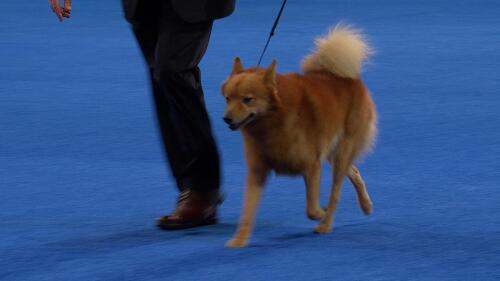 体育商业联盟管理